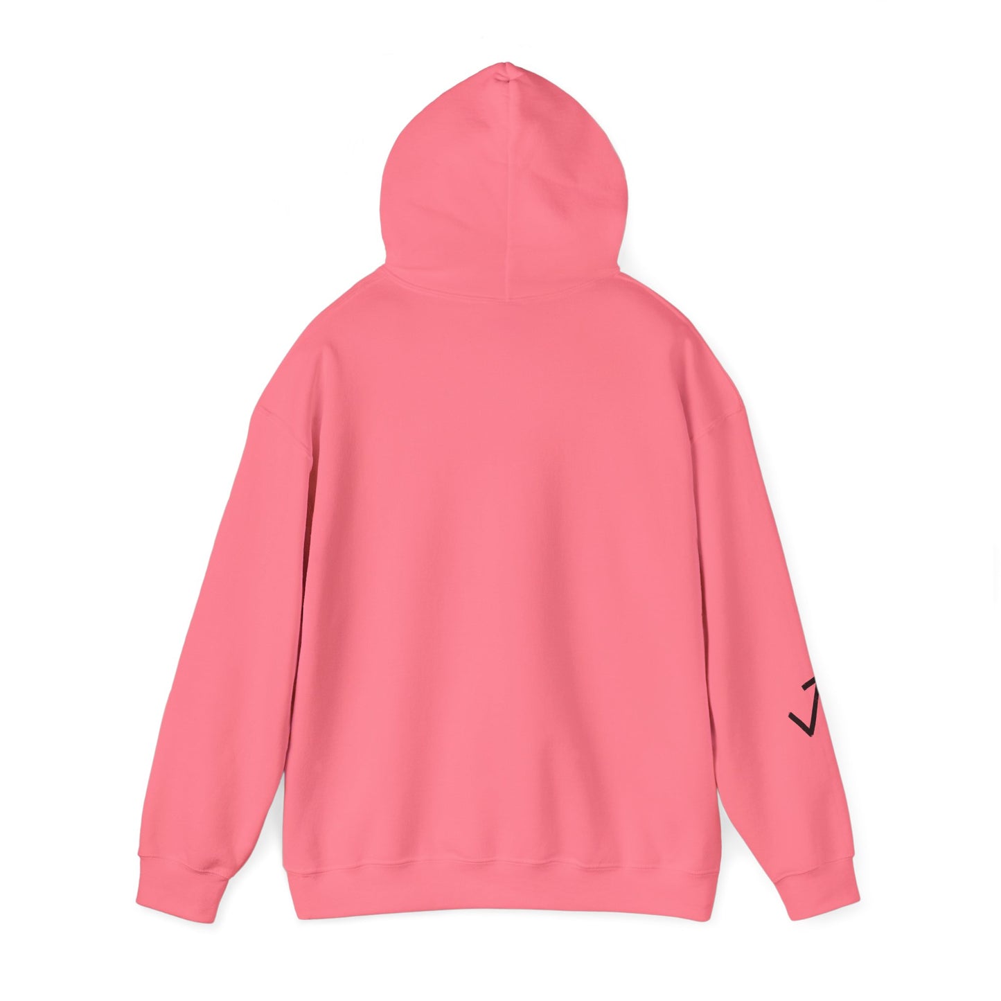 Above The Mark Hoodie